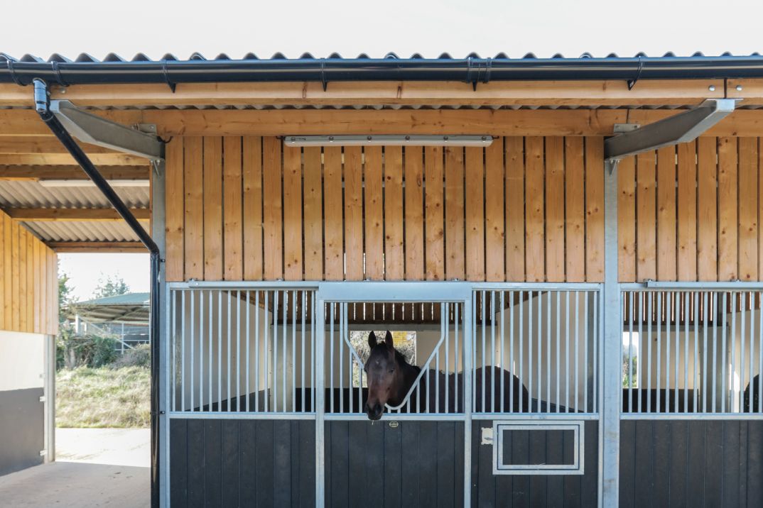 Horse Stables